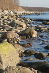 Image showing Stony coast of Baltic sea