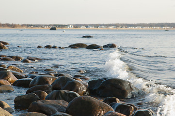 Image showing Stony coast of Baltic sea