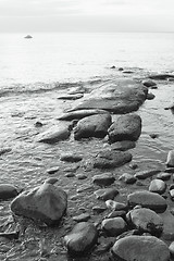 Image showing Stony coast of Baltic sea