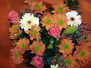 Image showing Orange and pink flowers