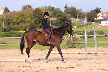 Image showing Horse to relax with a young rider before a contest