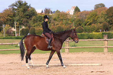 Image showing Horse to relax with a young rider before a contest