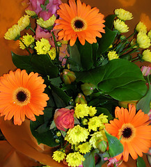 Image showing Orange and yellow flowers