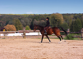 Image showing pretty young woman rider in a competition riding