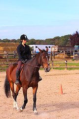 Image showing pretty young woman rider in a competition riding