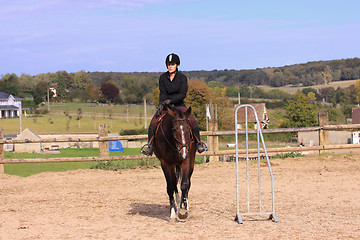 Image showing Horse to relax with a young rider before a contest