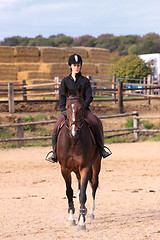 Image showing Horse to relax with a young rider before a contest