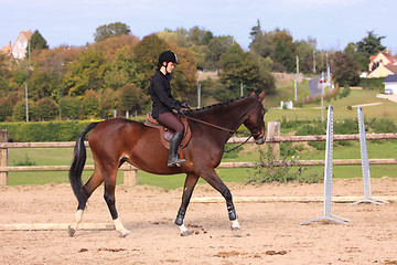 Image showing Horse to relax with a young rider before a contest
