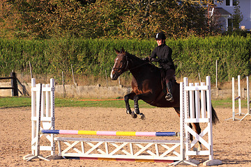 Image showing horse and rider has a jumping contest