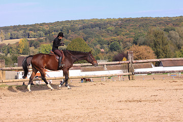 Image showing Horse to relax with a young rider before a contest