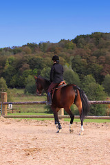 Image showing pretty young woman rider in a competition riding