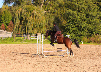 Image showing pretty young woman rider in a competition riding