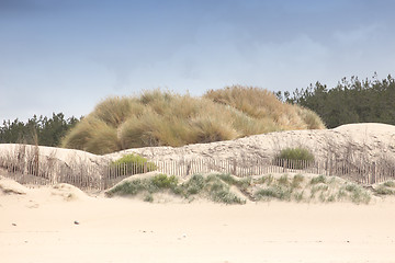 Image showing landscape of the Opal Coast in France