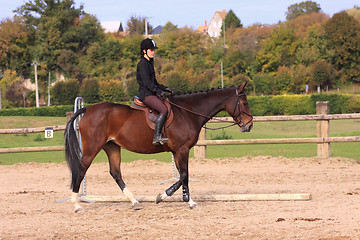 Image showing Horse to relax with a young rider before a contest