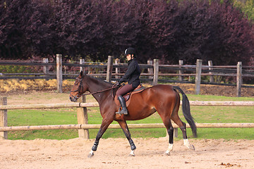 Image showing pretty young woman rider in a competition riding