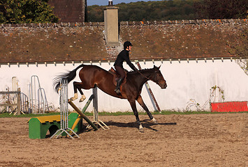 Image showing horse and rider has a jumping contest