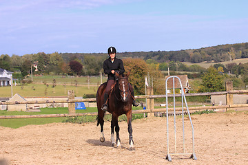 Image showing Horse to relax with a young rider before a contest