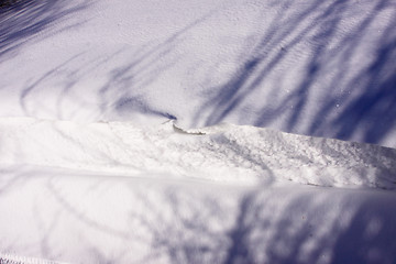 Image showing snowy landscape in the winter sun in France