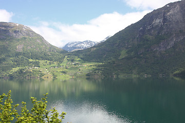 Image showing Wonderful fjord greens of norvege in spring