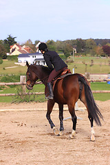 Image showing pretty young woman rider in a competition riding