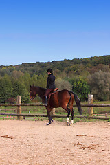 Image showing pretty young woman rider in a competition riding