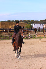 Image showing pretty young woman rider in a competition riding