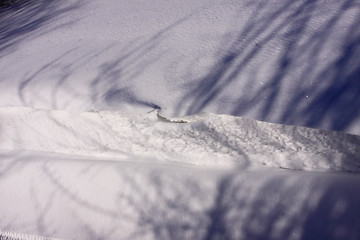 Image showing snowy landscape in the winter sun in France