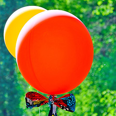 Image showing  Red and yellow balloons on green background