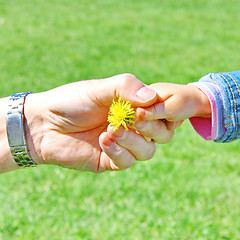 Image showing  Handshake the small and big man 