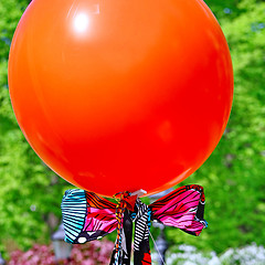 Image showing  Red balloon on green background 