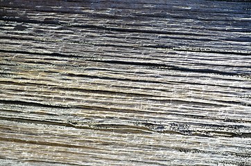 Image showing Old plank worn by weather