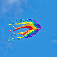 Image showing The rainbow kite 