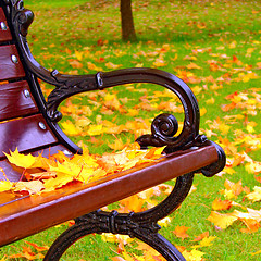 Image showing Park bench in autumn closeup