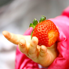 Image showing  Child Tasting Strawberry Fruit