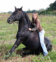 Image showing sitting horse