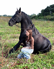 Image showing sitting horse