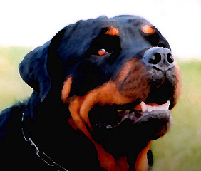 Image showing rottweiler