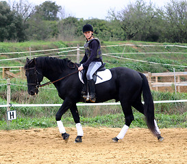 Image showing horse and woman in dressage