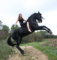Image showing rearing stallion