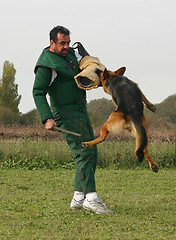 Image showing german shepherd in attack