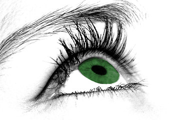 Image showing beautiful eye