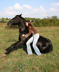 Image showing sitting horse