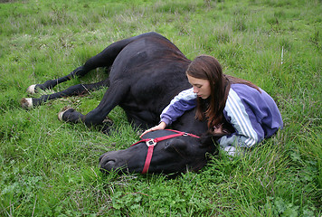 Image showing horse laid down and riding girl