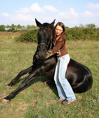 Image showing sitting horse