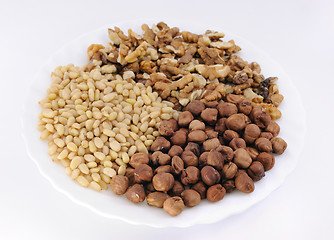 Image showing Nuts: hazelnut, walnut,  cedar