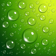 Image showing Water drops on green