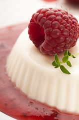 Image showing Vanilla panna cotta with berry sauce