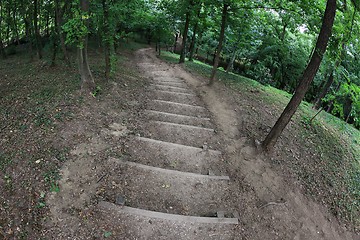 Image showing Path