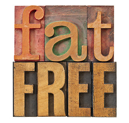 Image showing fat free in letterpress wood type