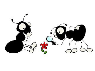 Image showing Two ants and flower